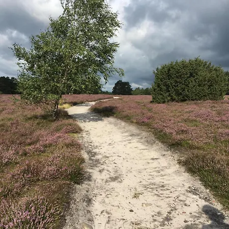 Atelier Am Markt * 赫曼斯堡