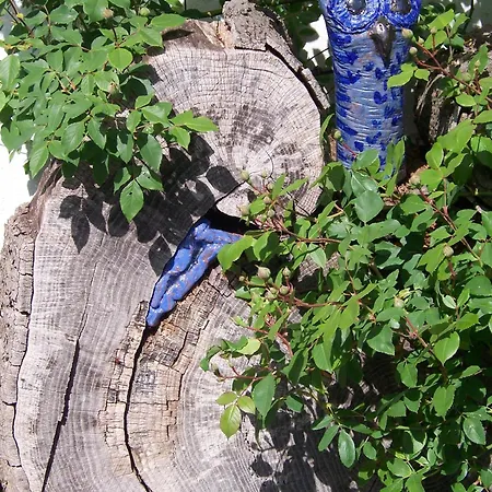 Atelier Am Markt 公寓