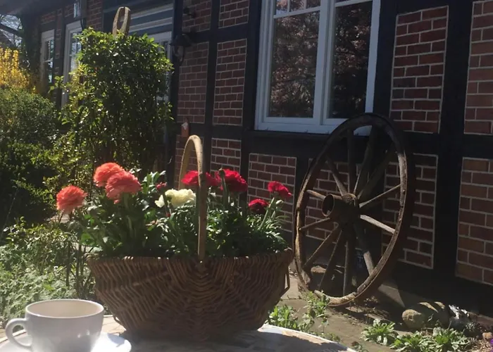 Lägenhet Atelier Am Markt *