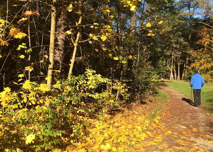 Lägenhet Atelier Am Markt *